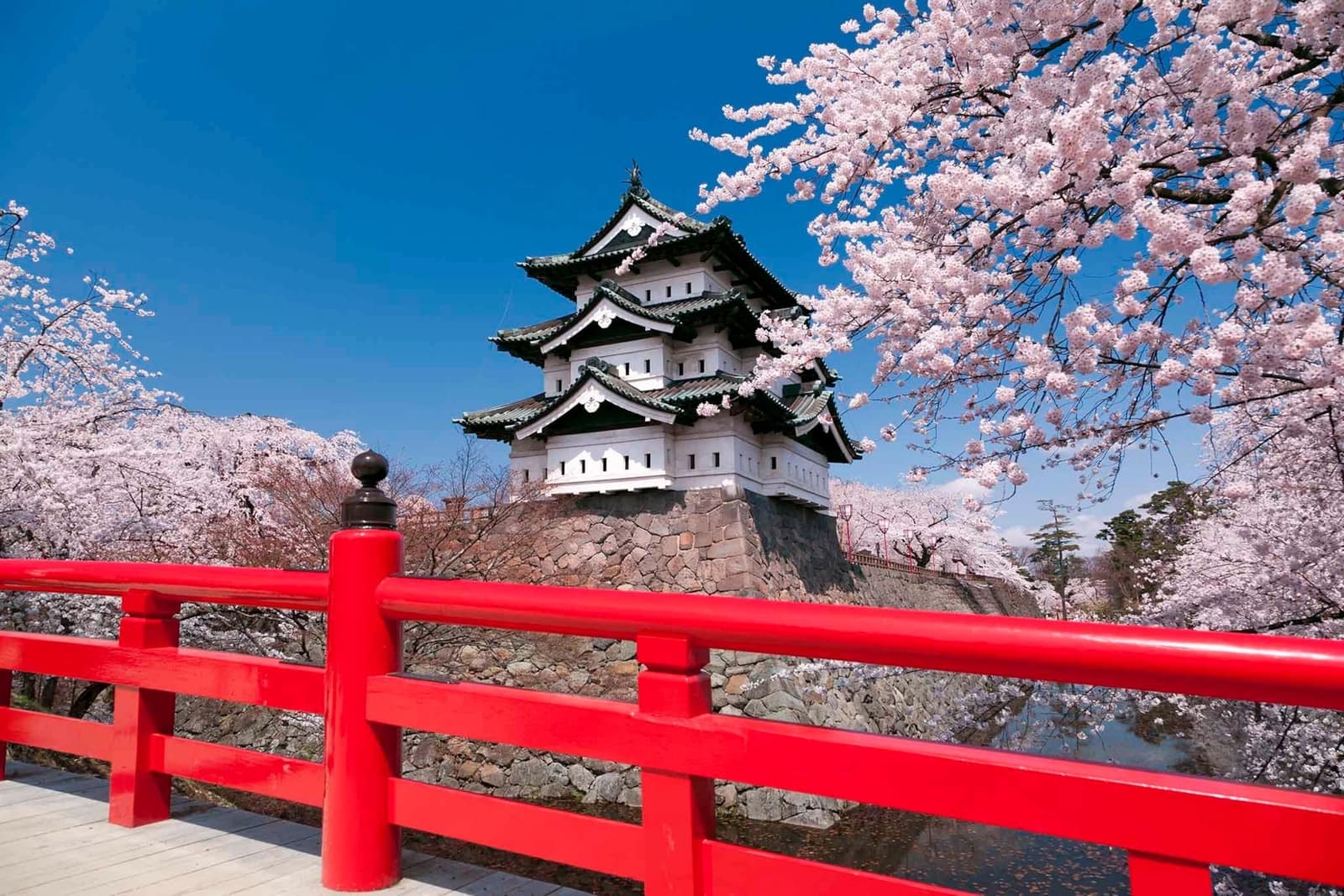 𝗝𝗔𝗣𝗢𝗡 | 𝗘𝗟 𝗖𝗔𝗠𝗜𝗡𝗢 𝗗𝗘𝗟 𝗦𝗔𝗠𝗨𝗥𝗔𝗜 𝟮𝟬𝟮𝟳 🇯🇵 1