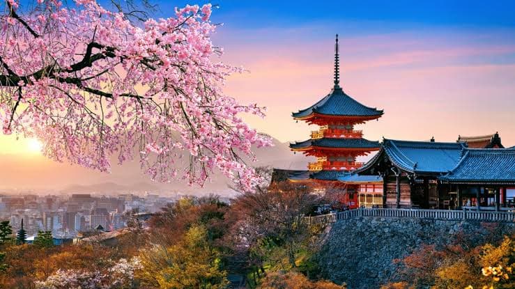 𝗝𝗔𝗣𝗢𝗡 | 𝗘𝗟 𝗖𝗔𝗠𝗜𝗡𝗢 𝗗𝗘𝗟 𝗦𝗔𝗠𝗨𝗥𝗔𝗜 𝟮𝟬𝟮𝟳 🇯🇵 4